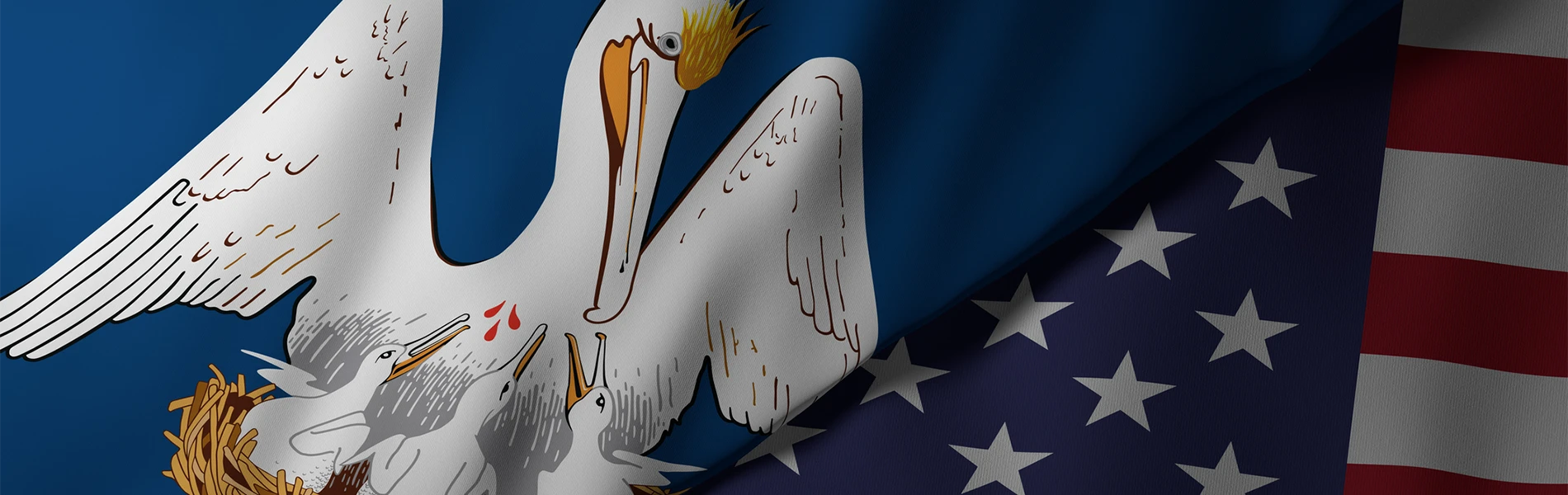 Louisiana and American Flag